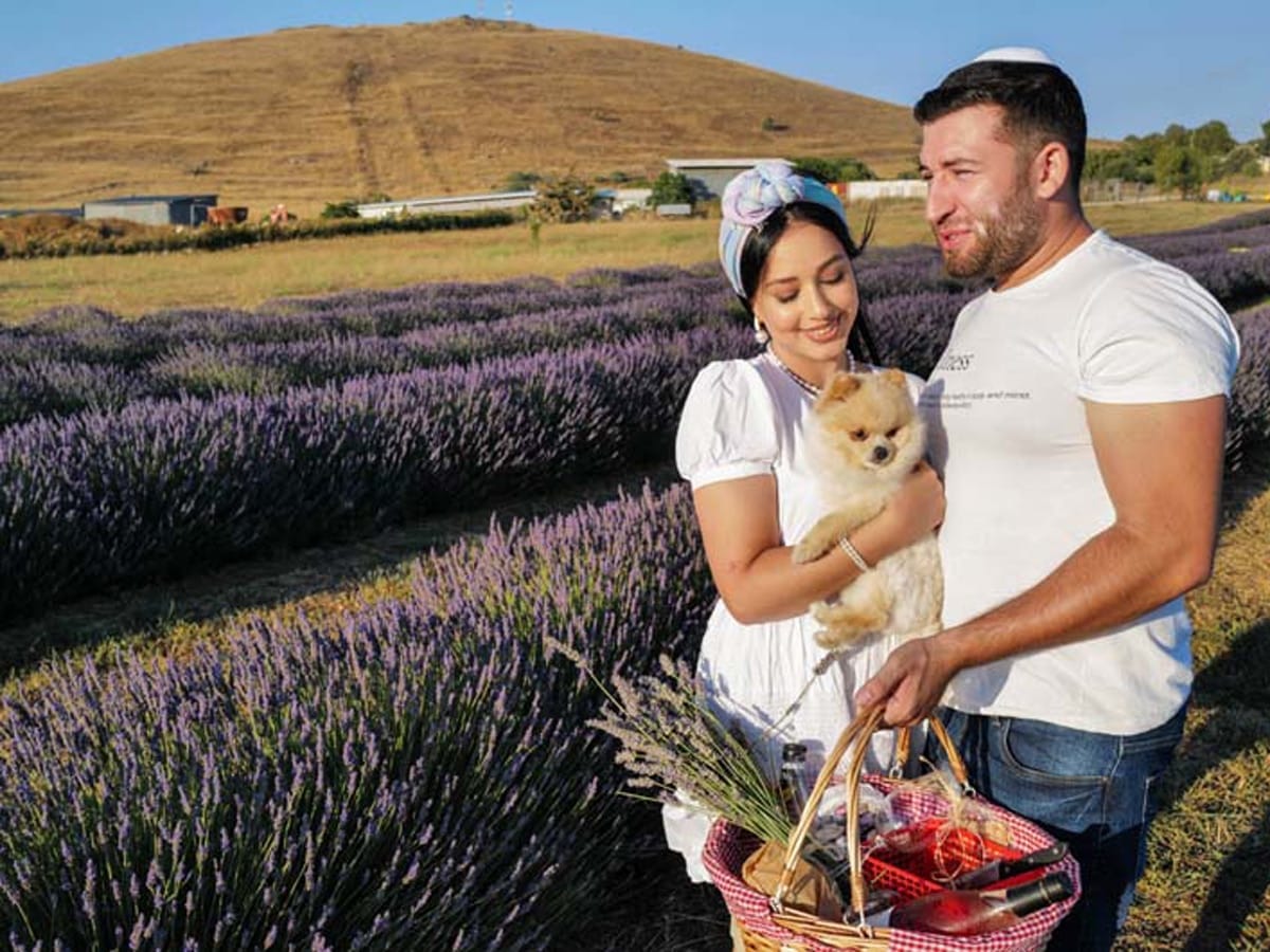 ООН обеспокоена: израильтян на Голанах больше, чем «сирийцев»